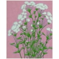 thumbnail image 4 of Martha Spak Designs Vintage Wildflower Art Prints Set of 3, 4 of 4
