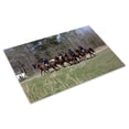 thumbnail image 3 of Print: Reenactment Of Civil War Siege Of April 1862, Bridgeport, Alabama, 3 of 4