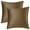 Brown, variant on REGALWOVEN Pack of 2 Velvet Decorative Throw Pillow Covers Modern Cushion Covers with Zipper Grey 12" x 20"