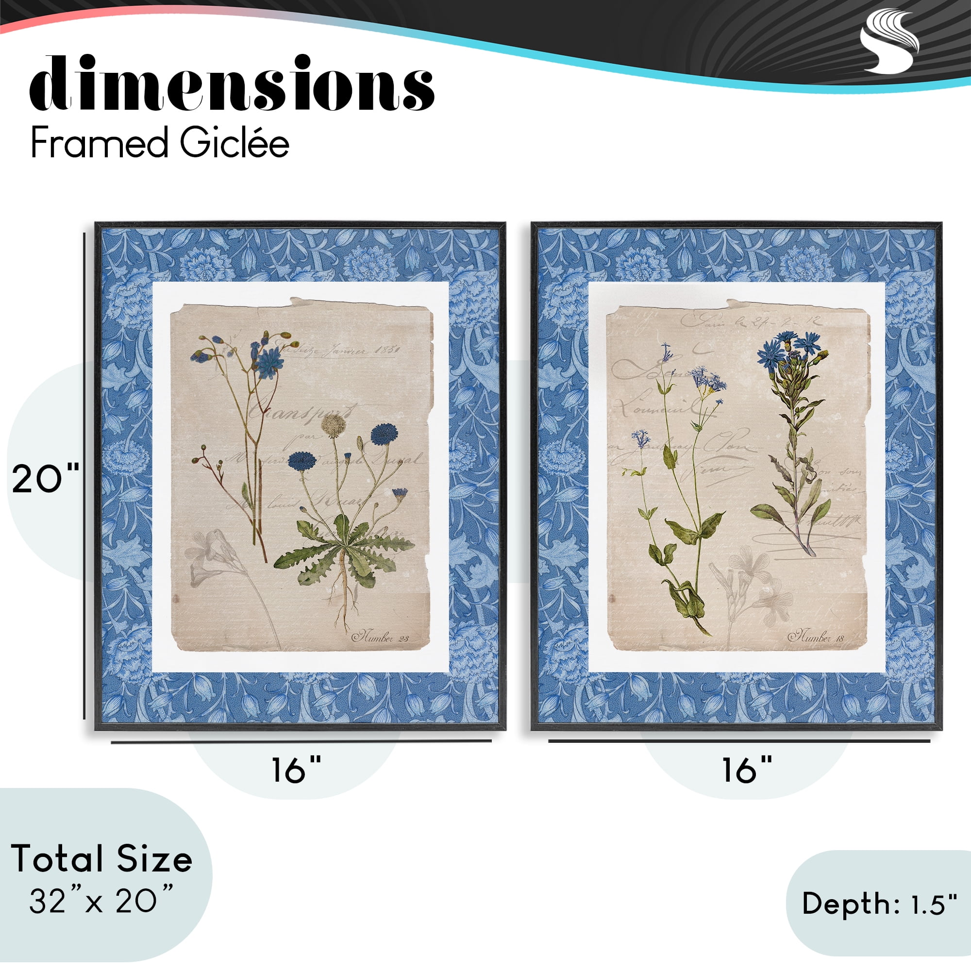 Stupell Industries Blue Botanical Herbs 2 Piece Black Framed Giclee Art Set, design by Livi Finn