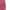 Pink, variant on Gloria Vanderbilt Utility Short Woman - Shorts for Women Trendy (White, S)