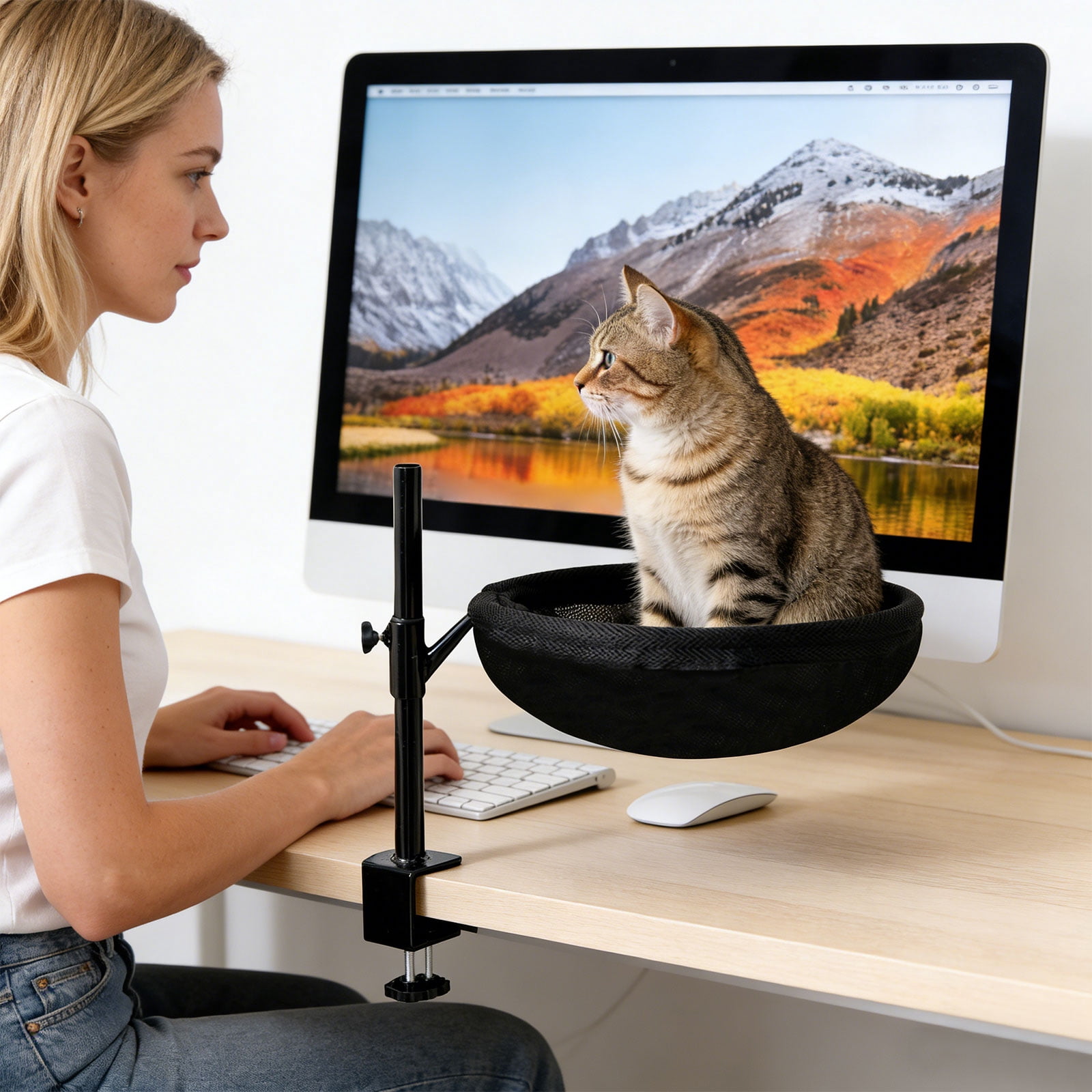 Thick Desktop Cats Perches Secure Mounting Space Saving Antislip Base Adjustable Cats Hammocks Perches