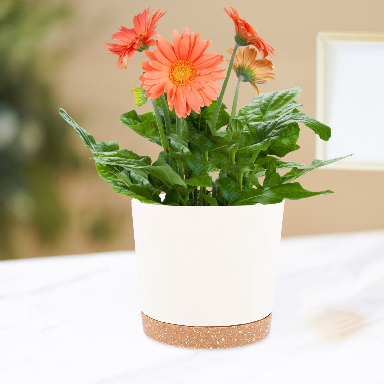 FRCOLOR 2pcs Plastic Plant Pots Planter for DIY Painting Art Vase Succulent Pot Indoor Flowerpots Gardening