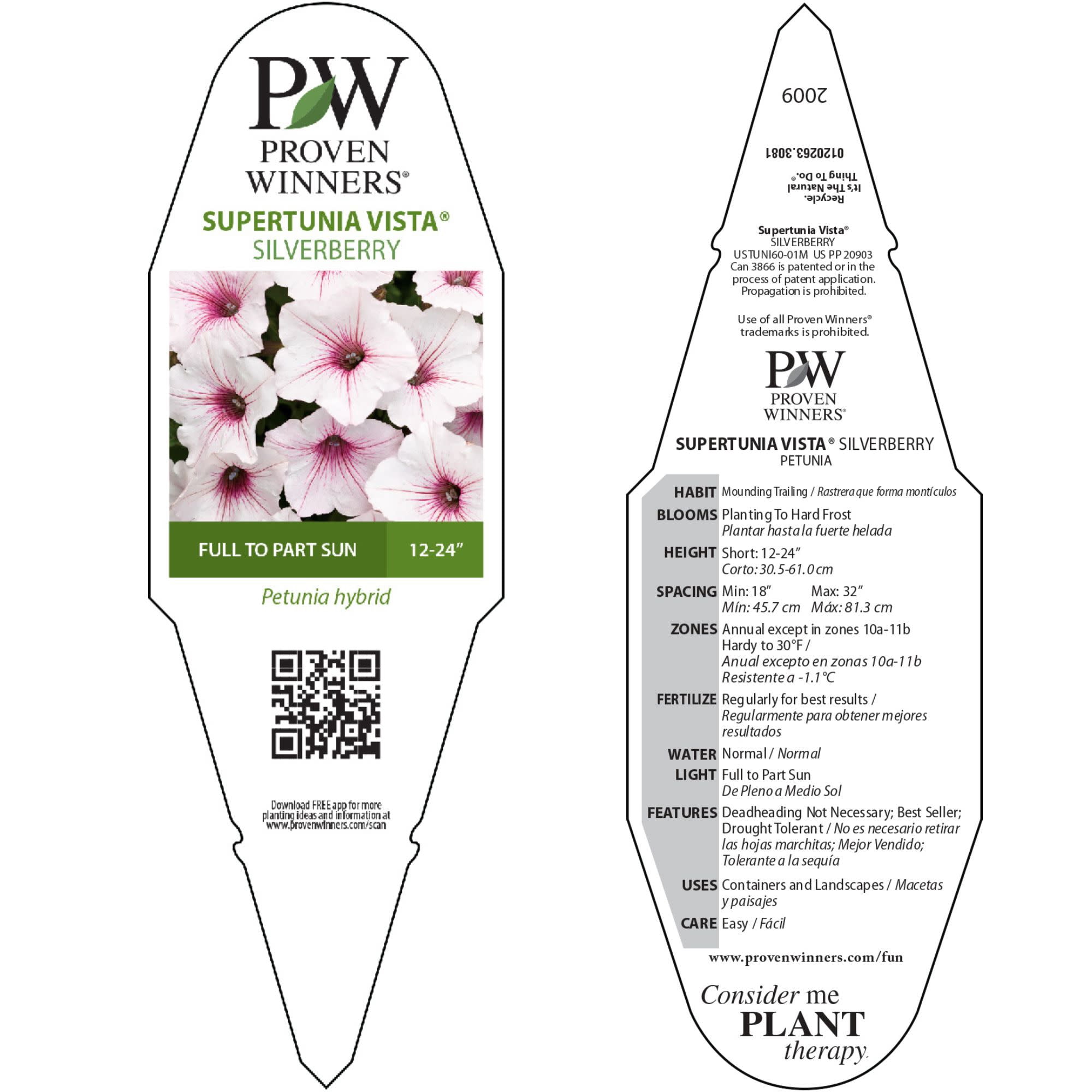 Proven Winners 4" White Supertunia Vista Silverberry Petunia Live Plant in 4.25" Pot (4 Count)