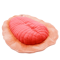 Realistic Dickinsonia Stuffed Animal Plush Toy, Lifelike Animal Plushies, Simulation Dickinsonia Doll