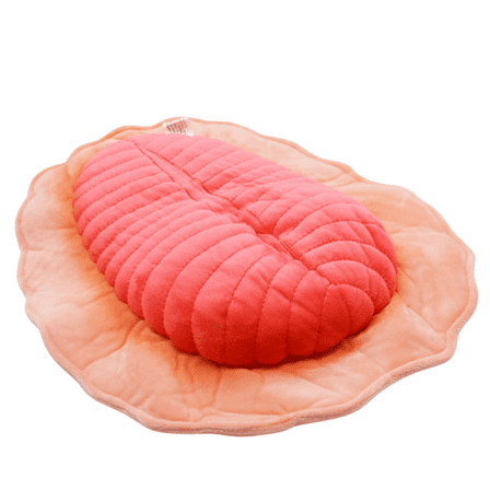 Realistic Dickinsonia Stuffed Animal Plush Toy, Lifelike Animal Plushies, Simulation Dickinsonia Doll