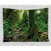 Apartment Decor Tapestry, Rain Forest Scene with River in North Forest in Early Morning Humid Fog Print, Wall Hanging for Bedroom Living Room Dorm Decor, 80W X 60L Inches, Green, by Ambesonne