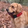 thumbnail image 4 of Apuakthei Moss es adecuado para perros pequeños y grandes., 4 of 5