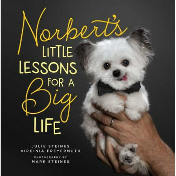 Pre-Owned Norbert's Little Lessons for a Big Life (Hardcover) 1501187317 9781501187315