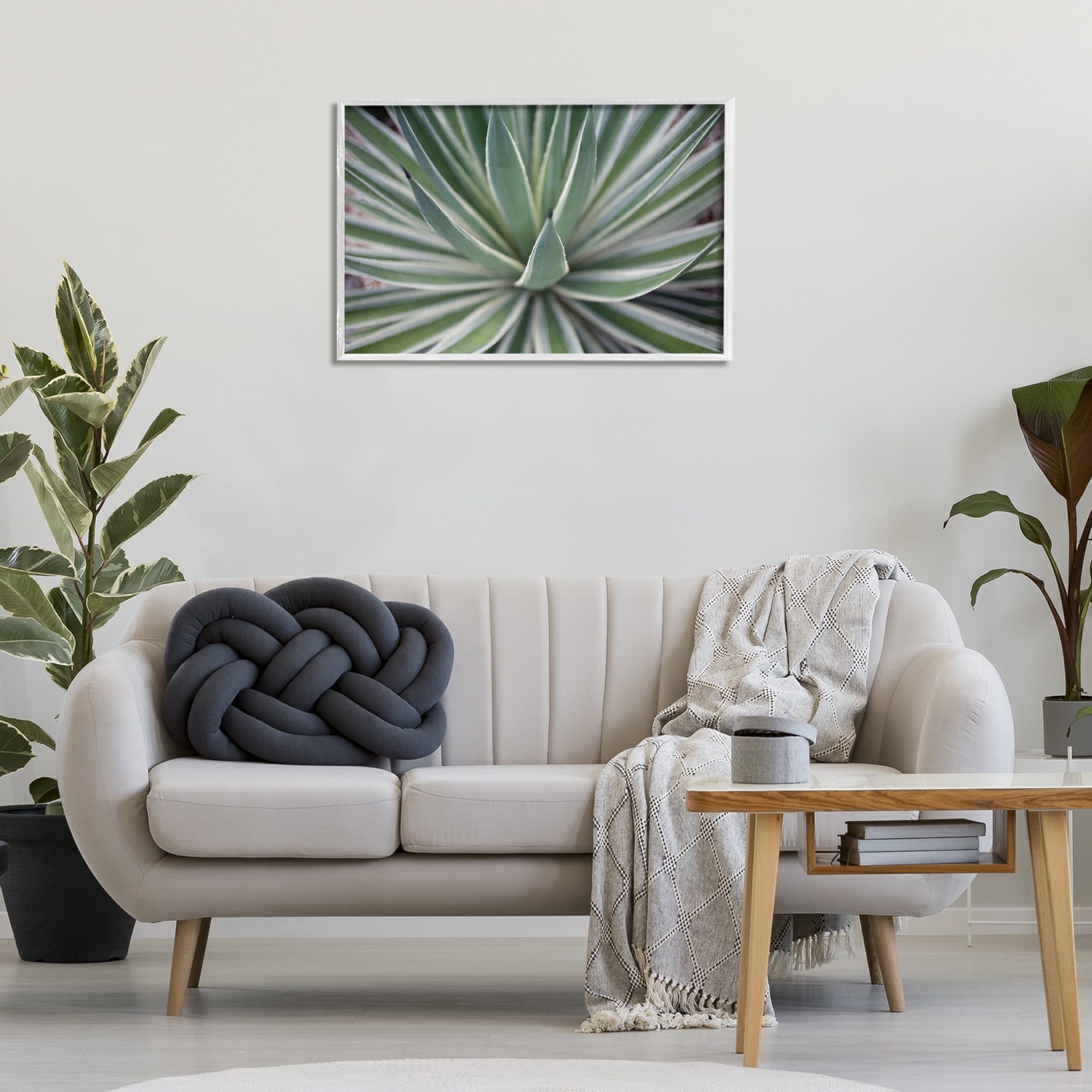 Stupell Industries Striped Plant Leaves Botanical & Floral Photography White Framed Art Print Wall Art, 30 x 20