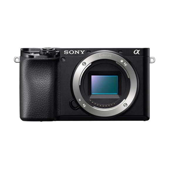 Sony a6100 Mirrorless Camera with 16-50mm and 55-210mm Lenses