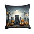 thumbnail image 2 of Black Pug Spooky Halloween Fabric Decorative Pillow 14 in x 14 in, 2 of 2