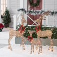 Holiday Time Lightup Outdoor 3Piece Glitter Reindeer Decoration Set