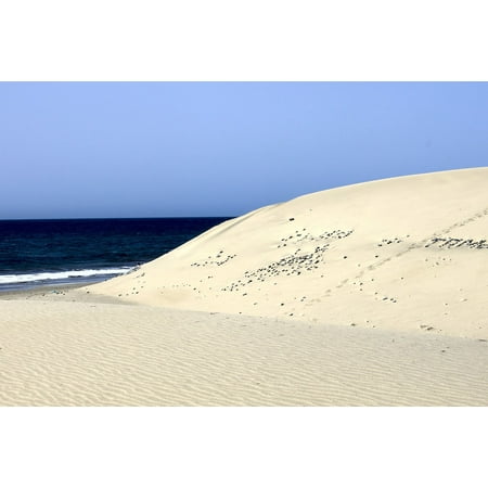 Canvas Print Beach Spain Gran Canaria Maspalomas Canary Islands Stretched Canvas 10 x