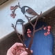 thumbnail image 1 of Adorno de jardín con forma de pájaro de metal, 1 of 2