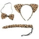 thumbnail image 1 of ColoMX 3 piezas para niños, orejas de gato, diadema, pajaritas, cola, conjunto, fiesta, disfraz de cosplay (estampado de leopardo amarillo), 1 of 8