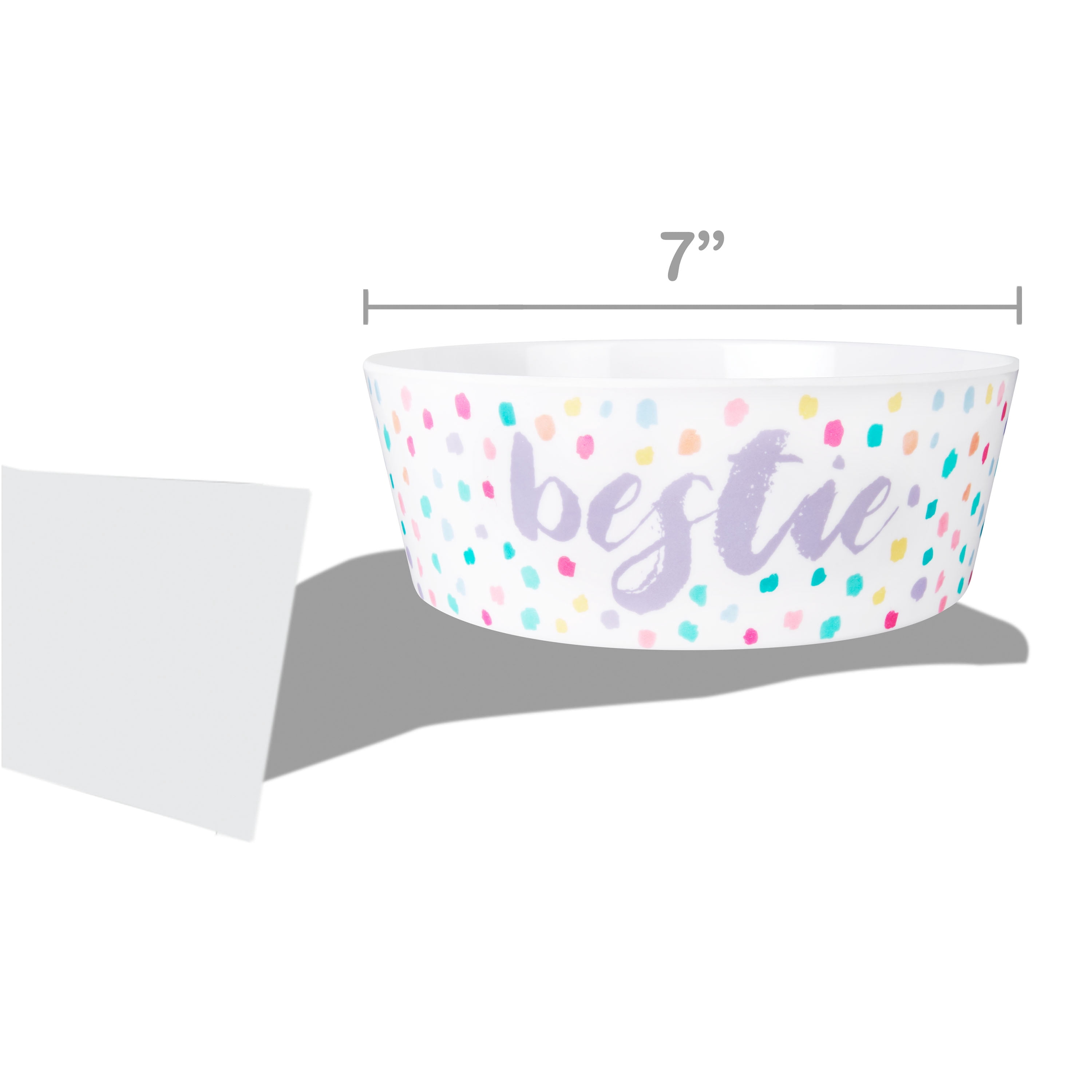 Vibrant Life Plastic Pet Bowl, Large
