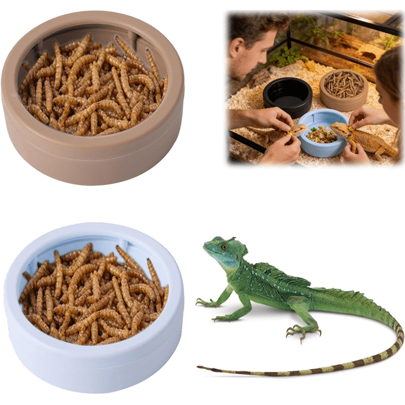 2 Pack Escape Proof Reptile Food Dish, Small Plastic Mealworm Feeder Cups for Gecko Lizards Bearded Dragon, PVC Water Worm Bowl for Terrarium, Light Blue Brown(wwx)