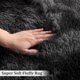 thumbnail image 4 of Alfombra CAROMIO, de felpa gruesa, de 254 x 396 cm, color negro y gris, 4 of 7