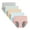 5 Color, variant on Women's Menstrual Period Panties Cotton Leakproof Underwear Protection Briefs 5 Pack