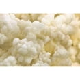 thumbnail image 1 of Live Milk Kefir Grains - Live Probiotic Culture, 1 of 1