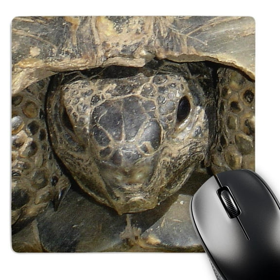 3dRose, Turkish Tortoise, MousePad