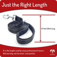 thumbnail image 5 of Dutchy Brand Ultra Strong Heavy Duty Reflective Training Dog Leash for Big, Medium, Small Dogs, Padded Handle for Strong Dogs 6 ft, Black, 5 of 11
