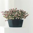 thumbnail image 4 of Succulent Planters Resin Plastic Crafts Personality Decorations Flower Pot Style Decorative Plants Container Office Yards Black, 4 of 8