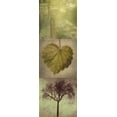 thumbnail image 2 of Greene, Taylor 13x32 Black Ornate Wood Framed with Double Matting Museum Art Print Titled - SILHOUETTE BEAUTY  B, 2 of 4