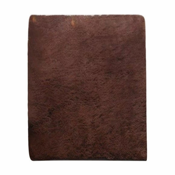 Super Soft Rugs for Living Room Fluffy Shag Area Rugs Area Rug Rug for Living Room, Washable Rug Non Slip Water Repellent Floor Carpet, Low Pile Soft Vintage Rug for Bedroom Dining Room Indoor 32x48IN