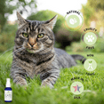 thumbnail image 6 of Isabella's Clearly Natural Flea and Tick Spray for Cats | Gentle, Long Lasting, Without Chemicals, Made in USA with Rosemary and Lavender Hydrosol, 6 of 6