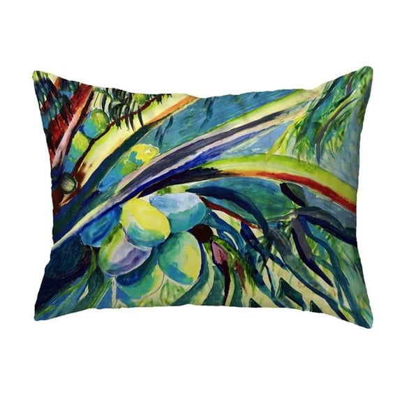 Betsy Drake KS1347 11 x 14 in. Cocoa Nuts III Non-Corded Pillow - Small