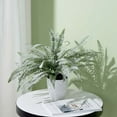 thumbnail image 2 of Efavormart 2 Bushes | 18" Artificial Boston Fern Leaf Stems, Faux Fern Plants Decor - Frosted Green, 2 of 11