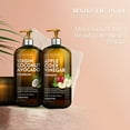 thumbnail image 6 of Majestic Pure Apple Cider Vinegar Shampoo and Avocado Coconut Conditioner Set - 16 fl oz Each, 6 of 8