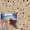 Tan Gloss, variant on Rust-Oleum Beige Tan Gloss 120 fl oz Floor Coating