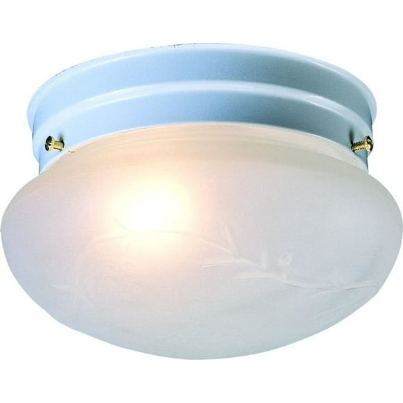Light Fixture Cover