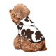 thumbnail image 5 of Fotbe Brown Cow Sudadera con Estampado para Perros Pequeños – Suéter con Capucha para Mascotas, Tela Suave de Forro Polar con Bolsillo-X-Small, 5 of 7