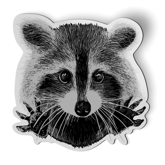 Raccoon - 5.5" Magnet for Car Locker Refrigerator