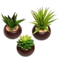 thumbnail image 2 of Plantas suculentas artificiales MyGift con macetas redondas de cerámica, 2 of 7