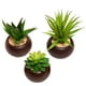 thumbnail image 2 of Plantas suculentas artificiales MyGift con macetas redondas de cerámica, 2 of 7