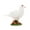 White, variant on D-GROEE High Simulation Printed Pigeon Figurine Love Peace Pigeon Model Animal Statue Photography Props