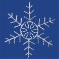 thumbnail image 1 of Vickerman X106248 48 in. LED Pure White Rope Light Snowflake, 1 of 1