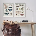 thumbnail image 3 of Stupell Industries Vintage Butterflies & Moths Animals & Insects Painting White Framed Art Print Wall Art, 24 x 30, 3 of 10