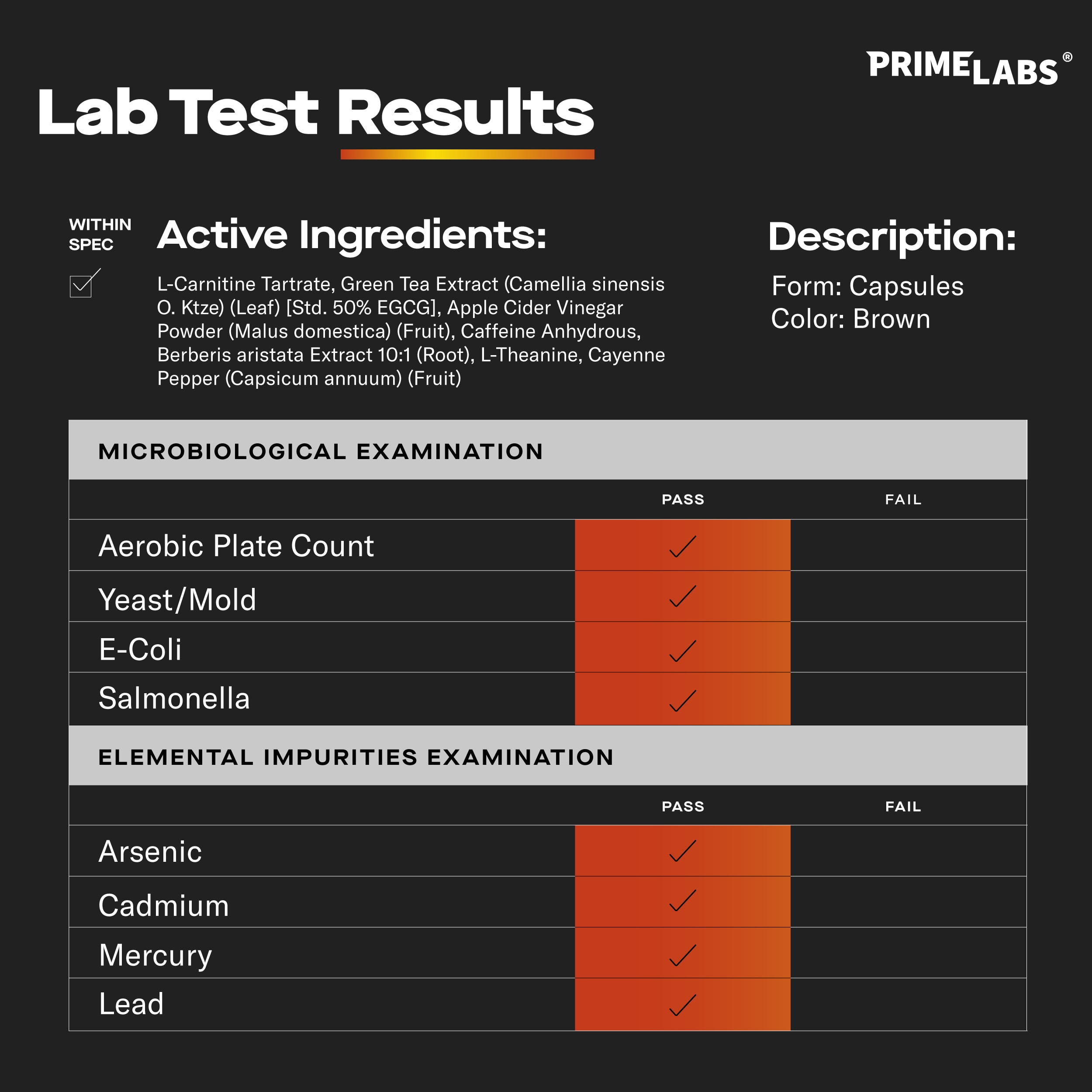 Prime Labs Thermogenic Energy Supplement for Men – L-Carnitine, Caffeine & Green Tea Extract – Daily Energy & Active Lifestyle Formula – Third-Party Tested, Made in the USA – 60 Capsules