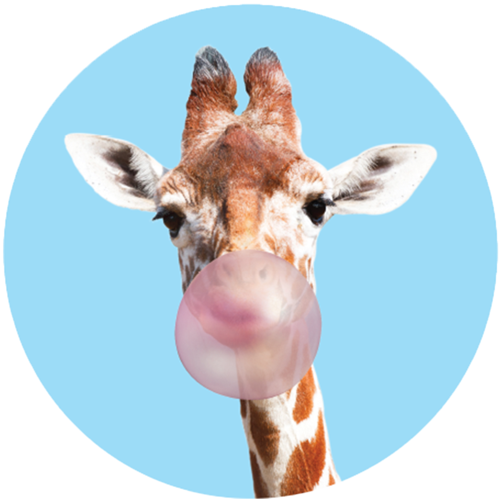 tzumi nuckees - Phone Grip and Stand for Smartphones and Other Electronic Devices - Reusable and Magnetic Mount-Friendly - Giraffe Design