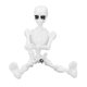 thumbnail image 4 of Modelo de esqueleto humano, modelo de esqueleto humano, simulación de modelo de esqueleto de cuerpo completo, modelo de esqueleto creado magistralmente, 4 of 8