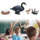 thumbnail image 1 of Ciclo de Vida de Figuras de Pato Proyecto Educativo Diorama Modelo de Juguete para Niños ANGGREK Otros, 1 of 8