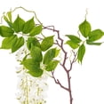 thumbnail image 5 of Vickerman 56" Artificial White Wisteria And Foliage Hanging Spray, 5 of 5