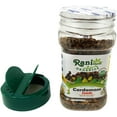 thumbnail image 3 of Rani Organic Cardamom (Elachi) Decorticated Seeds (from Green Cardamom) Indian Spice 3oz (85g) PET Jar ~ All Natural | Vegan | Gluten Friendly | NON-GMO | Indian Origin | USDA Certified Organic, 3 of 3