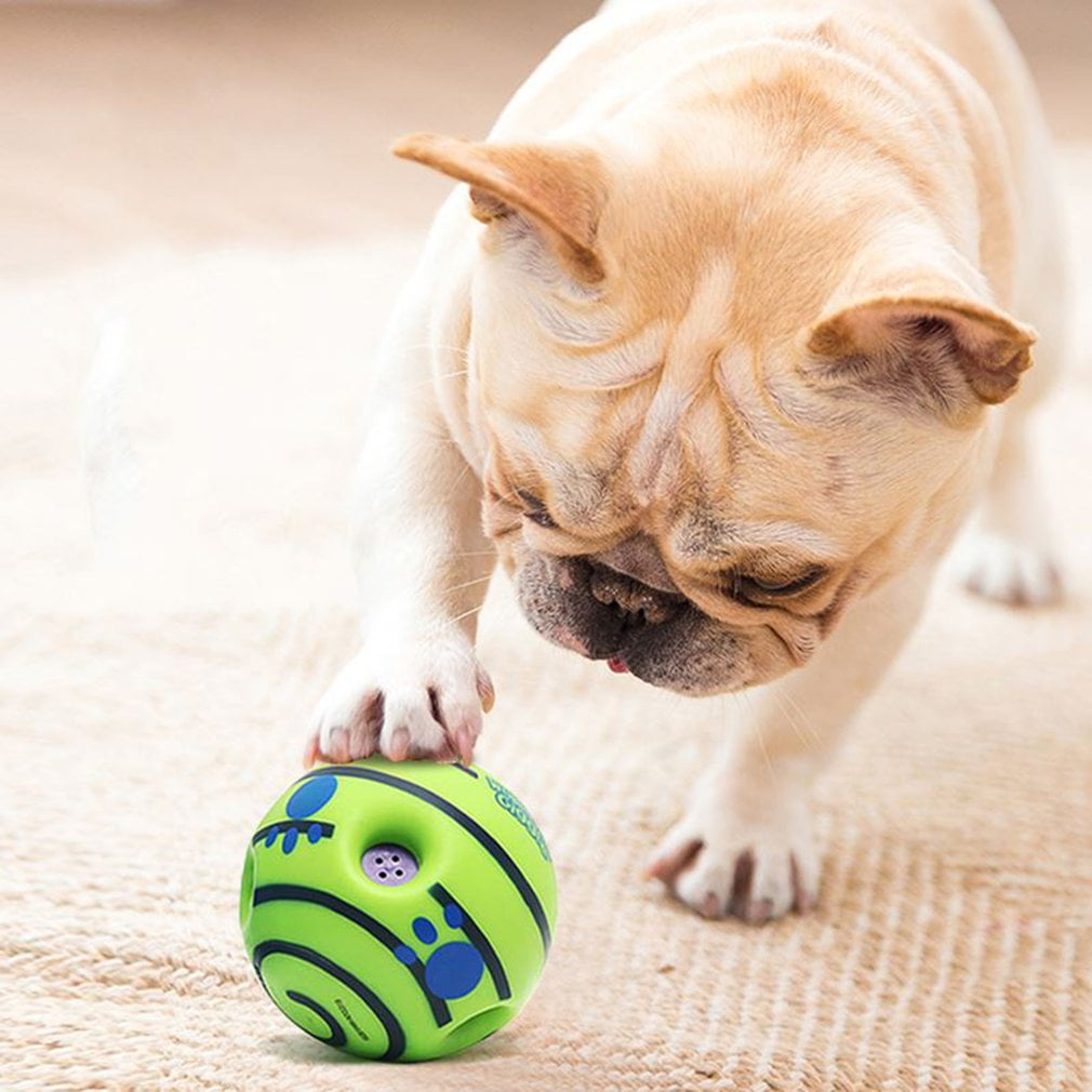 Dog play ball hot sale
